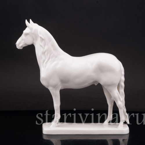 Конь, Nymphenburg, Германия