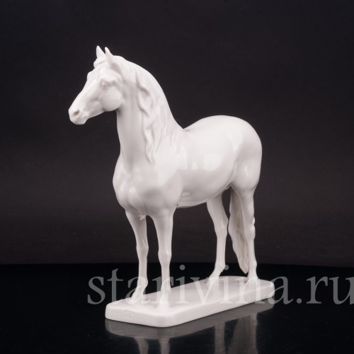 Конь, Nymphenburg, Германия