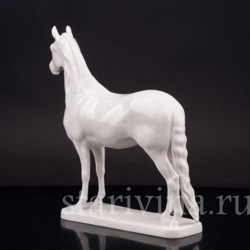 Конь, Nymphenburg, Германия