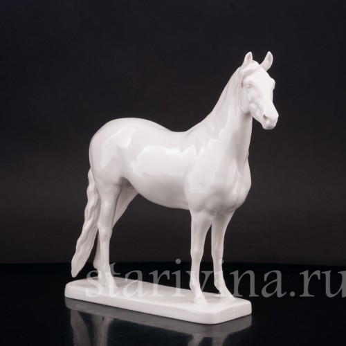 Конь, Nymphenburg, Германия