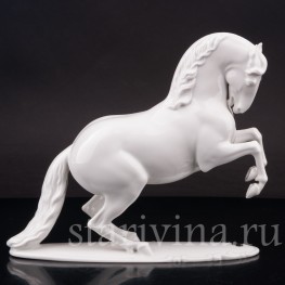 Фарфоровая статуэтка Поднимающийся конь, Rosenthal, Германия, 1956 г.