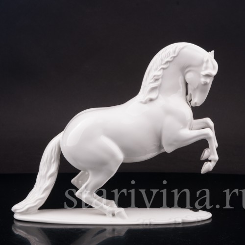 Фарфоровая статуэтка Поднимающийся конь, Rosenthal, Германия, 1956 г.