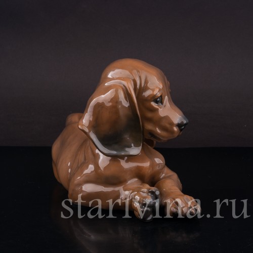 Фарфоровая статуэтка собаки Лежащий щенок таксы, Rosenthal, Германия, 1950-60 гг.