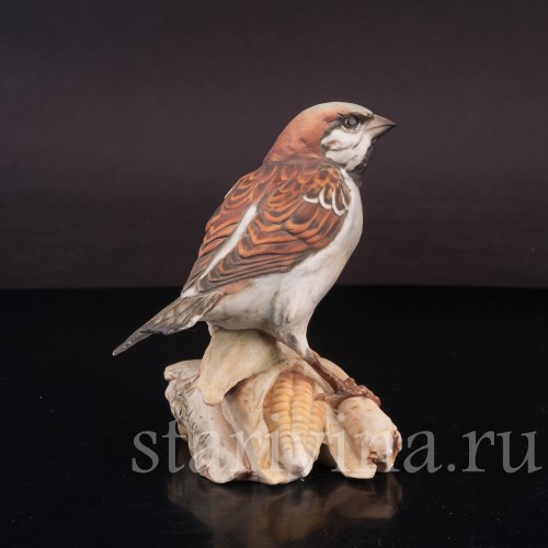 Воробей на початке кукурузы, Tay, Италия, вт. пол. 20 в