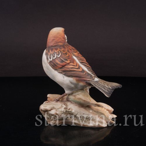 Воробей на початке кукурузы, Tay, Италия, вт. пол. 20 в