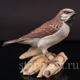 Воробей на початке кукурузы, Tay, Италия, вт. пол. 20 в