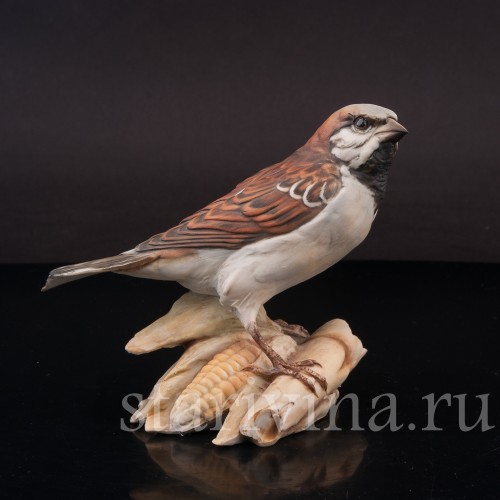 Воробей на початке кукурузы, Tay, Италия, вт. пол. 20 в