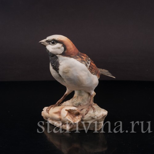 Воробей на початке кукурузы, Tay, Италия, вт. пол. 20 в