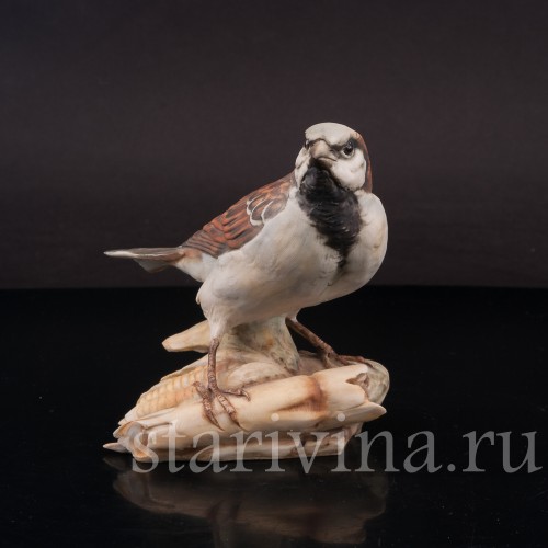 Воробей на початке кукурузы, Tay, Италия, вт. пол. 20 в