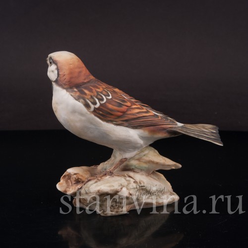 Воробей на початке кукурузы, Tay, Италия, вт. пол. 20 в