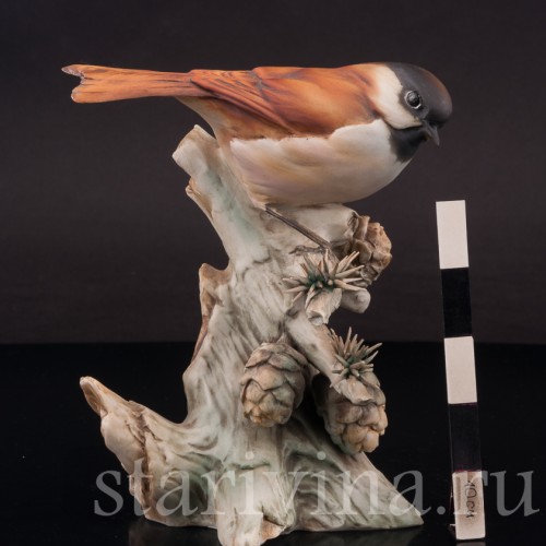 Фигурка птицы из фарфора Синица на еловой ветке, Tay, Италия, вт. пол. 20 в.