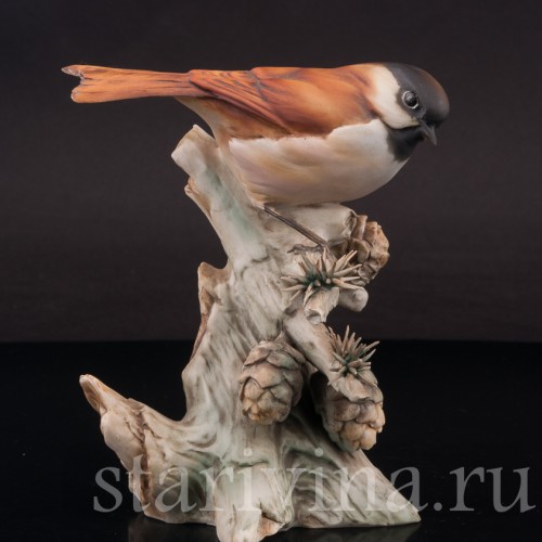 Фигурка птицы из фарфора Синица на еловой ветке, Tay, Италия, вт. пол. 20 в.