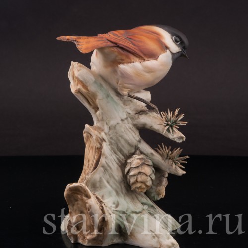 Фигурка птицы из фарфора Синица на еловой ветке, Tay, Италия, вт. пол. 20 в.