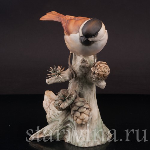 Фигурка птицы из фарфора Синица на еловой ветке, Tay, Италия, вт. пол. 20 в.