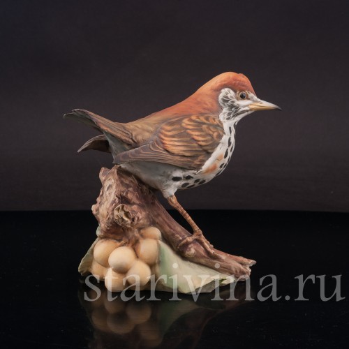 Бисквитная статуэтка птицы Лесной дрозд, Tay, Италия, вт. пол. 20 в.