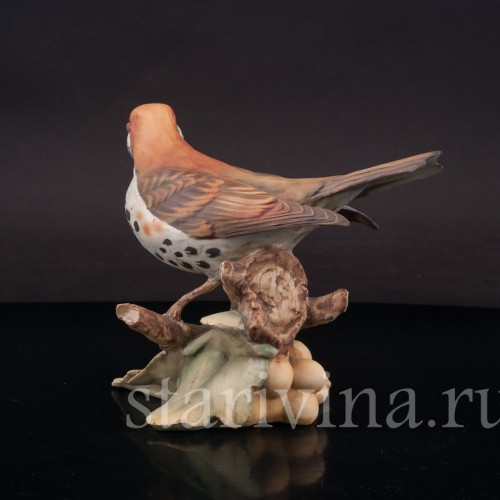Бисквитная статуэтка птицы Лесной дрозд, Tay, Италия, вт. пол. 20 в.