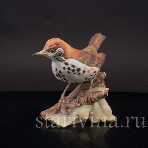 Бисквитная статуэтка птицы Лесной дрозд, Tay, Италия, вт. пол. 20 в.
