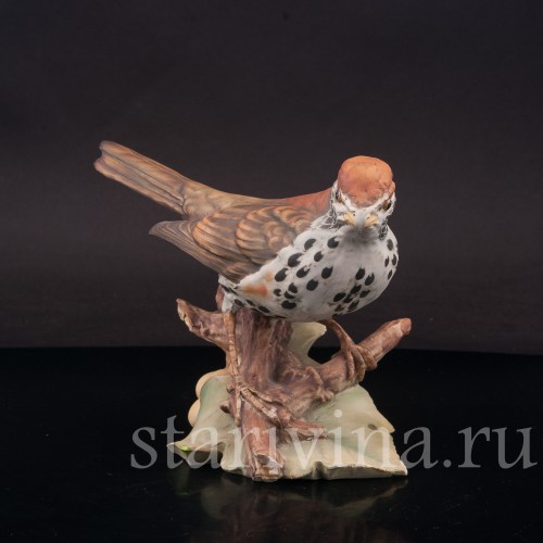 Бисквитная статуэтка птицы Лесной дрозд, Tay, Италия, вт. пол. 20 в.