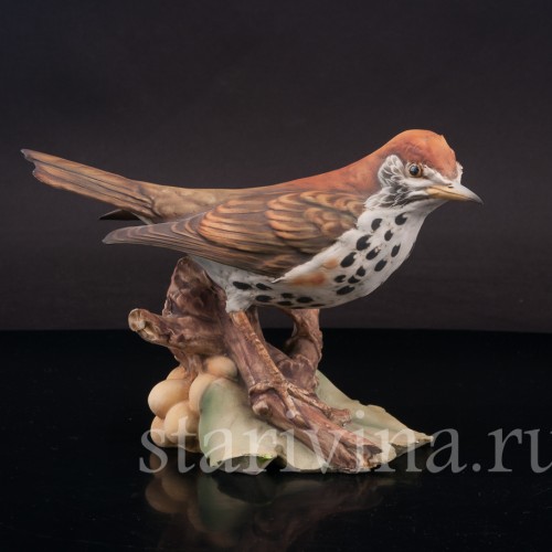 Бисквитная статуэтка птицы Лесной дрозд, Tay, Италия, вт. пол. 20 в.