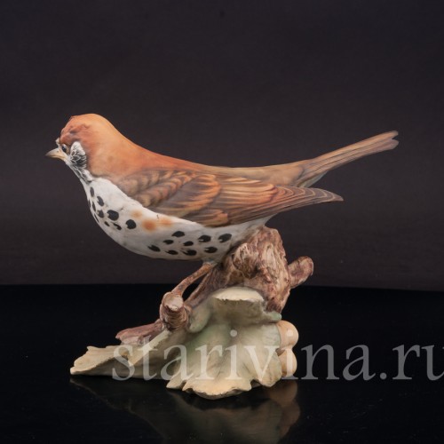 Бисквитная статуэтка птицы Лесной дрозд, Tay, Италия, вт. пол. 20 в.