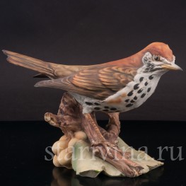 Бисквитная статуэтка птицы Лесной дрозд, Tay, Италия, вт. пол. 20 в.
