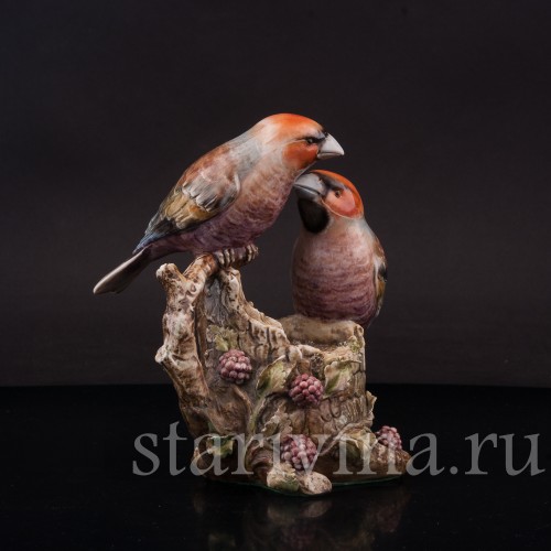 Два дубоноса, Antonio Borsato, Италия, сер. 20 в