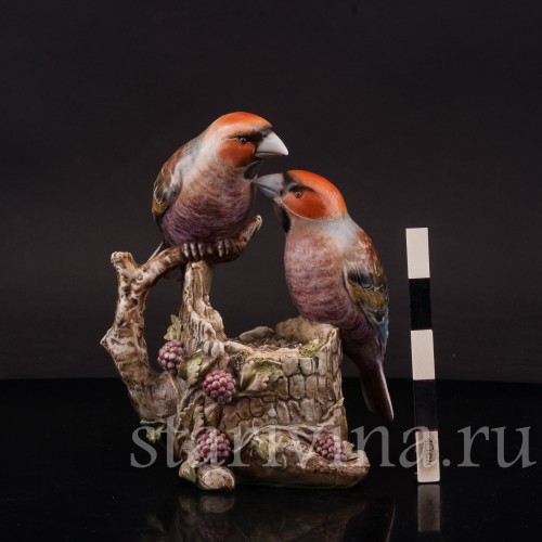 Два дубоноса, Antonio Borsato, Италия, сер. 20 в