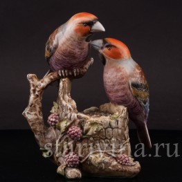 Два дубоноса, Antonio Borsato, Италия, сер. 20 в