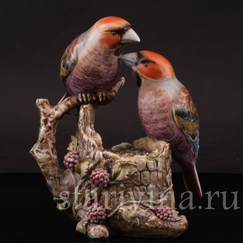 Два дубоноса, Antonio Borsato, Италия, сер. 20 в