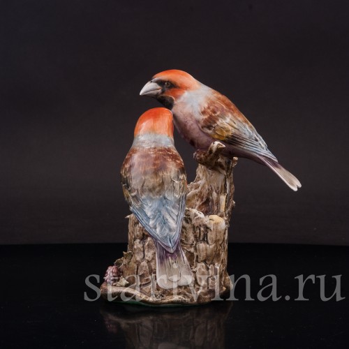 Два дубоноса, Antonio Borsato, Италия, сер. 20 в