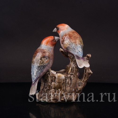 Два дубоноса, Antonio Borsato, Италия, сер. 20 в