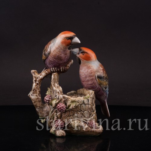 Два дубоноса, Antonio Borsato, Италия, сер. 20 в