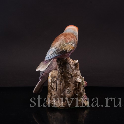 Два дубоноса, Antonio Borsato, Италия, сер. 20 в