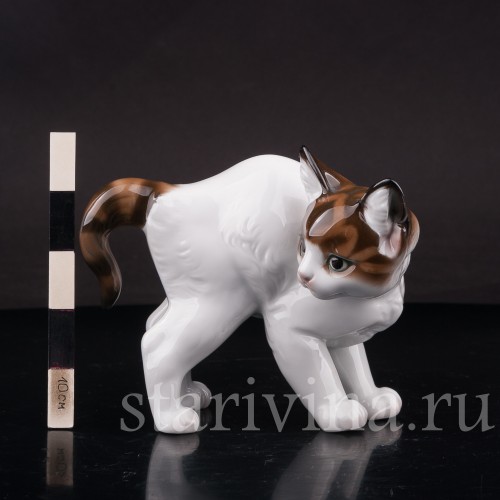 Фарфоровая фигурка Котёнок с выгнутой спинкой, Rosenthal, Германия, 1954 год.