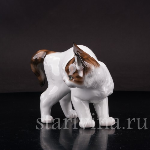 Фарфоровая фигурка Котёнок с выгнутой спинкой, Rosenthal, Германия, 1954 год.