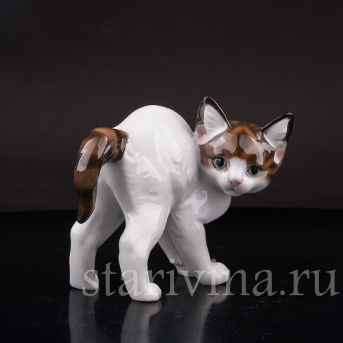 Фарфоровая фигурка Котёнок с выгнутой спинкой, Rosenthal, Германия, 1954 год.