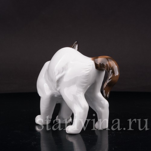 Фарфоровая фигурка Котёнок с выгнутой спинкой, Rosenthal, Германия, 1954 год.