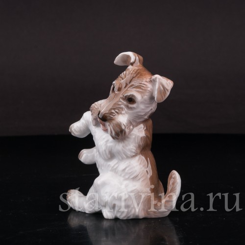 Фигурка собаки из фарфора Сидящий терьер Rosenthal, Германия, 1932 год.