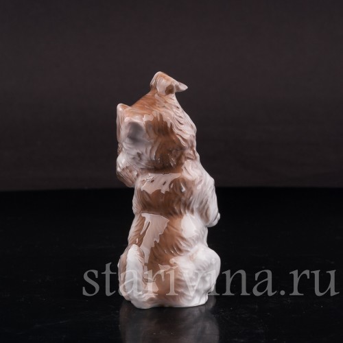 Фигурка собаки из фарфора Сидящий терьер Rosenthal, Германия, 1932 год.