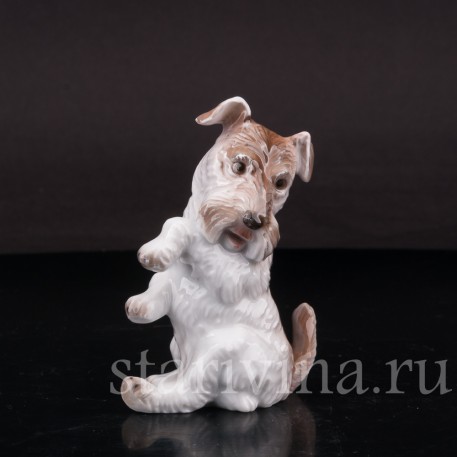 Фигурка собаки из фарфора Сидящий терьер Rosenthal, Германия, 1932 год.