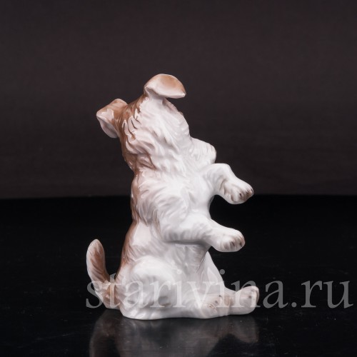 Фигурка собаки из фарфора Сидящий терьер Rosenthal, Германия, 1932 год.