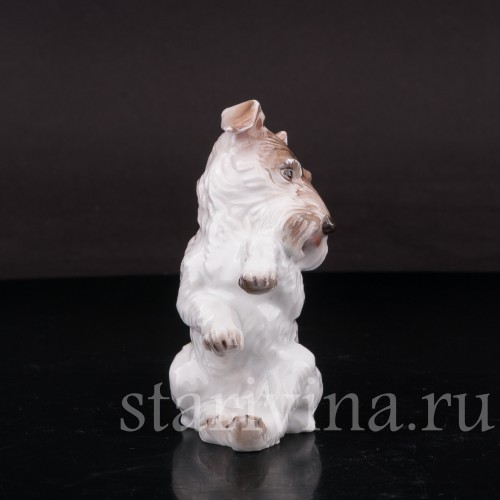 Фигурка собаки из фарфора Сидящий терьер Rosenthal, Германия, 1932 год.