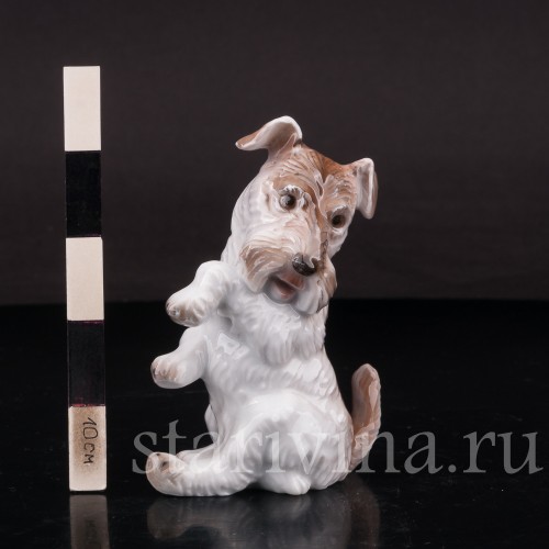 Фигурка собаки из фарфора Сидящий терьер Rosenthal, Германия, 1932 год.