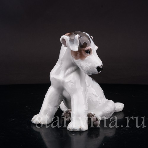 Фигурка собаки из фарфора Щенок фокстерьера, Rosenthal, Германия, 1956 год.