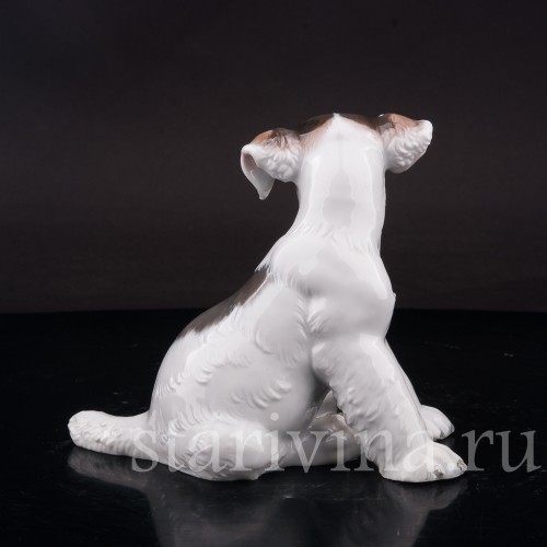 Фигурка собаки из фарфора Щенок фокстерьера, Rosenthal, Германия, 1956 год.