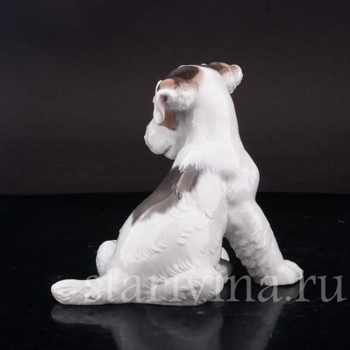 Фигурка собаки из фарфора Щенок фокстерьера, Rosenthal, Германия, 1956 год.