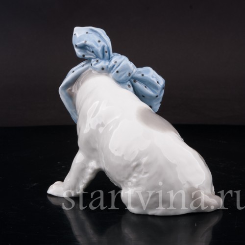 Статуэтка из фарфора Собака с перевязанным зубом, Heubach, Германия, 1882-1915 гг.