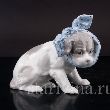 Статуэтка из фарфора Собака с перевязанным зубом, Heubach, Германия, 1882-1915 гг.