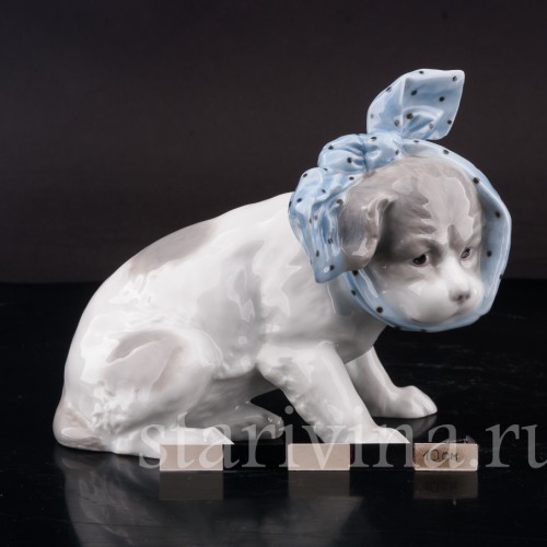 Статуэтка из фарфора Собака с перевязанным зубом, Heubach, Германия, 1882-1915 гг.