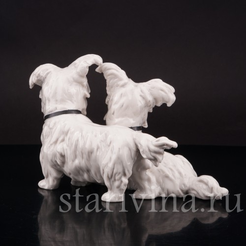 Статуэтка собак из фарфора Две болонки, Frankenthal, Германия, 1949-64 гг.